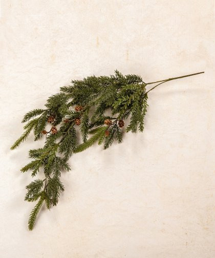 Ragon House | Green Spruce & Tsuga Hemlock Hanging Spray | Zulily