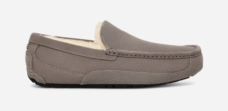 UGG® Men's Ascot Sheepskin Slipper Loafers in Grey, Size 14 | UGG (US)