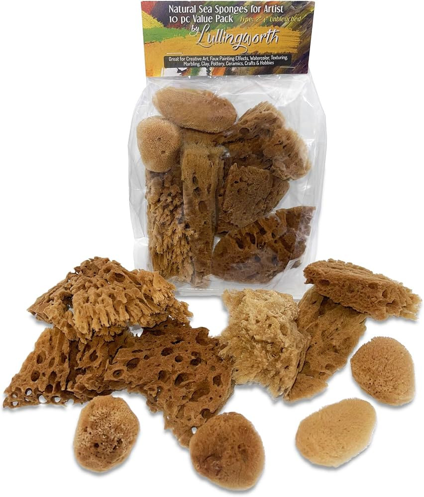 Natural Sea Sponges 10pk for Artists, 2"-4" Unbleached, Painting & Crafts | Amazon (US)