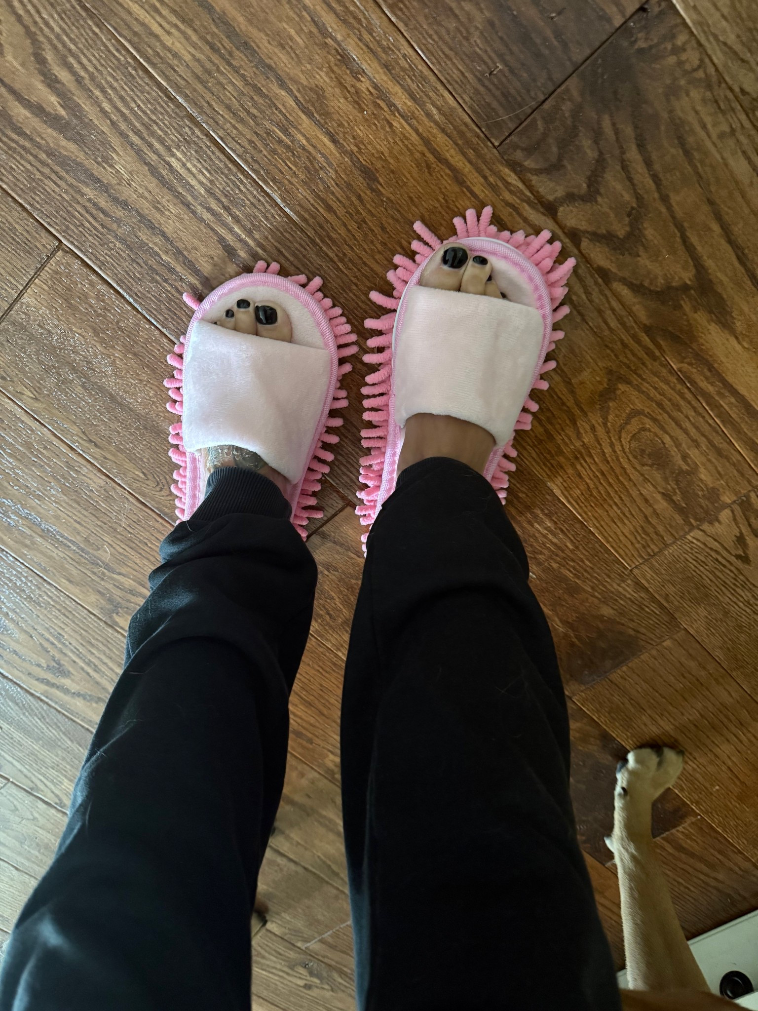 The best hack for when you are mopping your floors!! Can’t live without these. 

#LTKFindsUnder50 #LTKSaleAlert #LTKHome