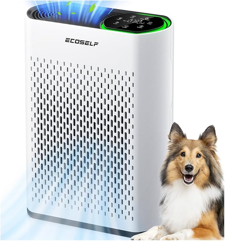 Air Purifier for Large Room, Cleans 2,400 ft\u00b2 in 30 Mins, 3-Stage True HEPA, 360\u00b0 Airfl... | Amazon (US)