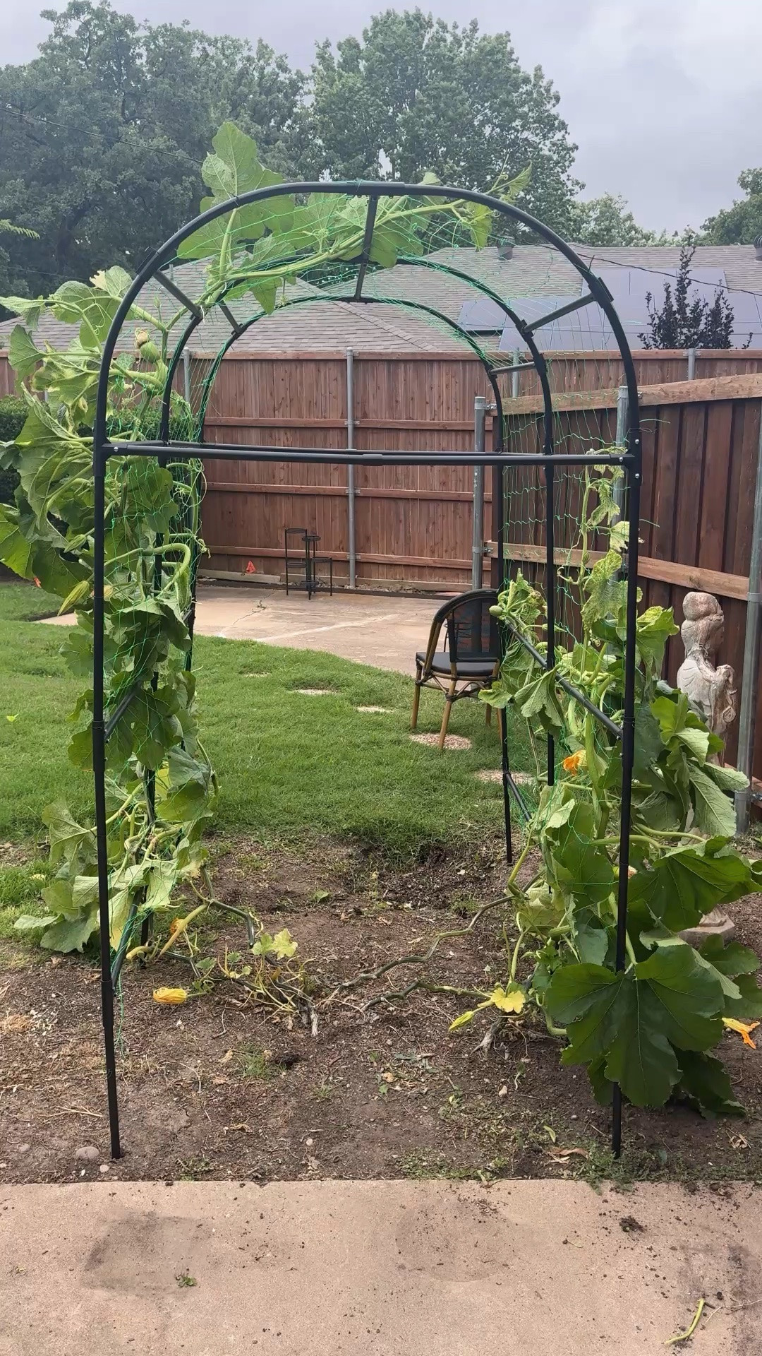 This pumpkin trellis has been amazing! Can’t wait to see it fruit 🎃 hoping my bank account will thank me come October 

Pumpkins, fall, gardening, backyard, outdoor

#LTKHome #LTKSeasonal #LTKmomlife