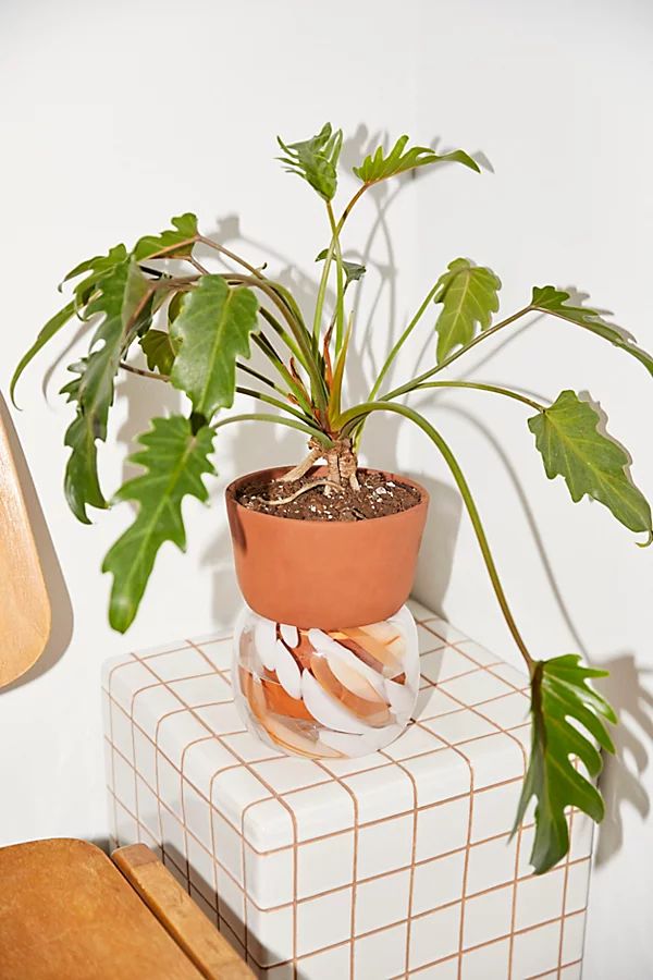 Carmella Self Watering Planter | Urban Outfitters (US and RoW)