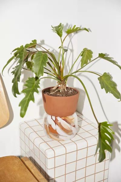 Carmella Self Watering Planter | Urban Outfitters (US and RoW)