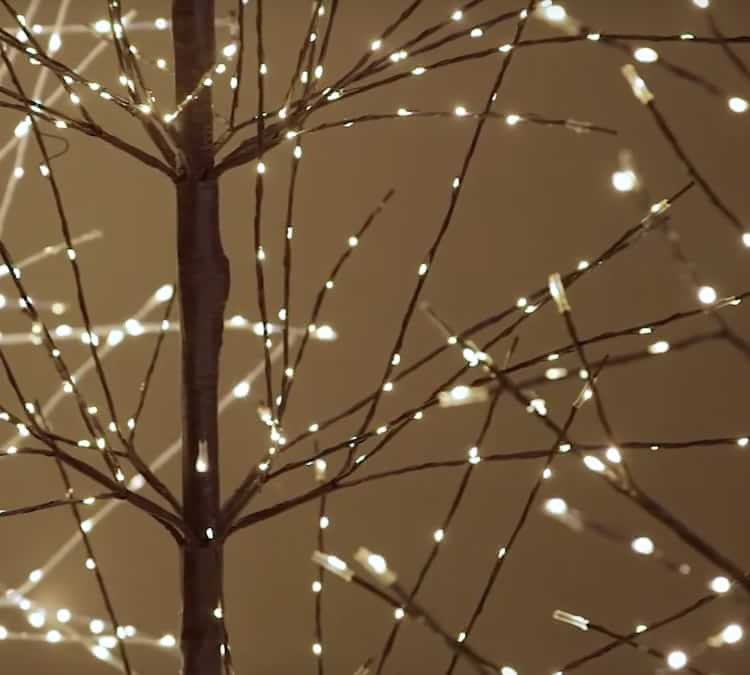 Light Up Indoor/Outdoor Twinkling Twig Trees | Pottery Barn (US)