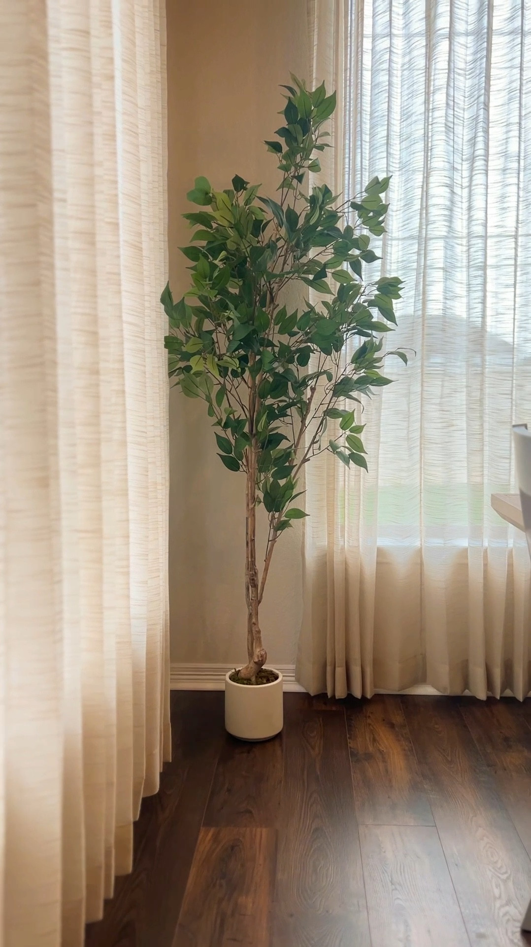 Zero watering zero worries! Ficus tree looks so real. 

#LTKSaleAlert #LTKFindsUnder100 #LTKHome