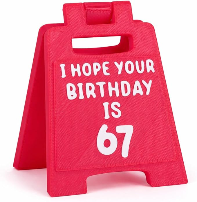 Funny Birthday Mini Sign Gifts for Him Her, Cute Bday Present for Best Friend Boyfriend Girlfrien... | Amazon (US)