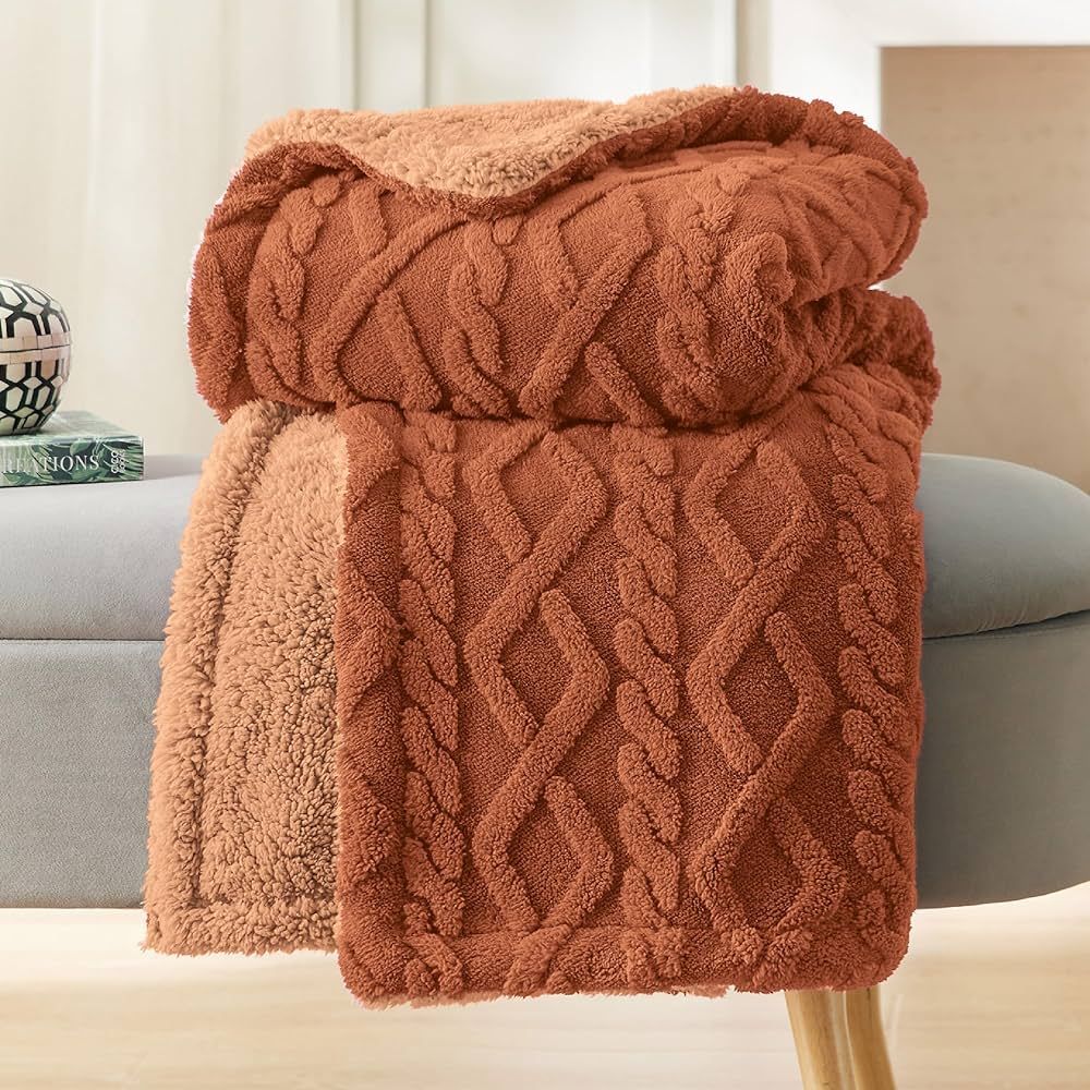 Bedsure Sherpa Throw Blanket for Couch Sofa - Fuzzy Soft Cozy Blanket for Bed, Fleece Thick Warm ... | Amazon (US)