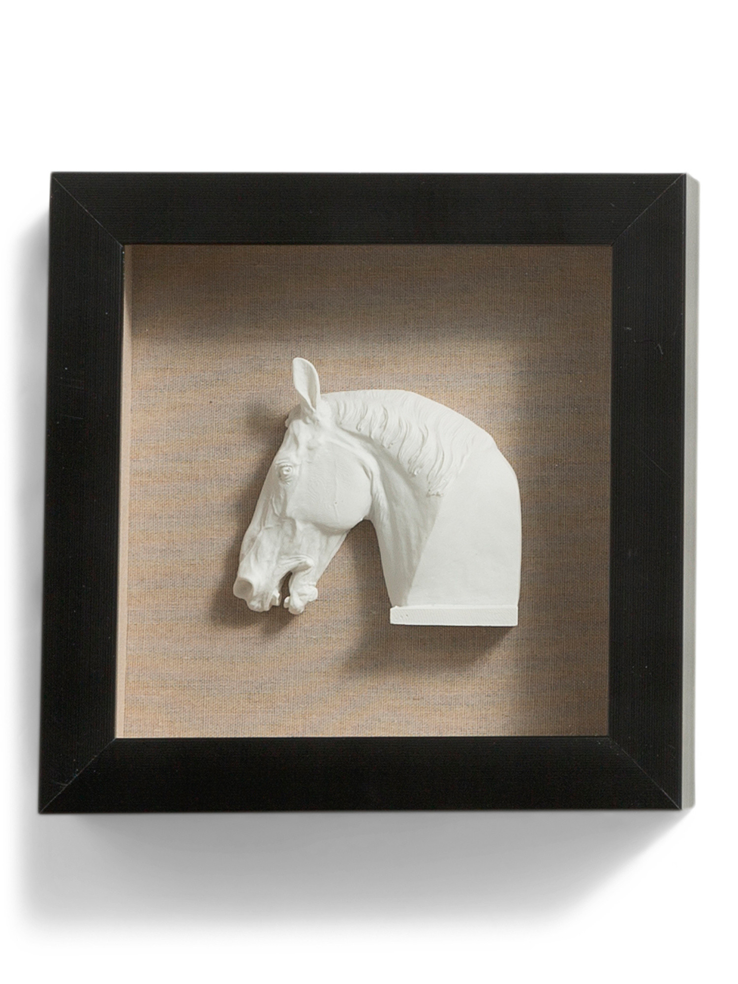 9x9 Horse With Linen Frame | TJ Maxx