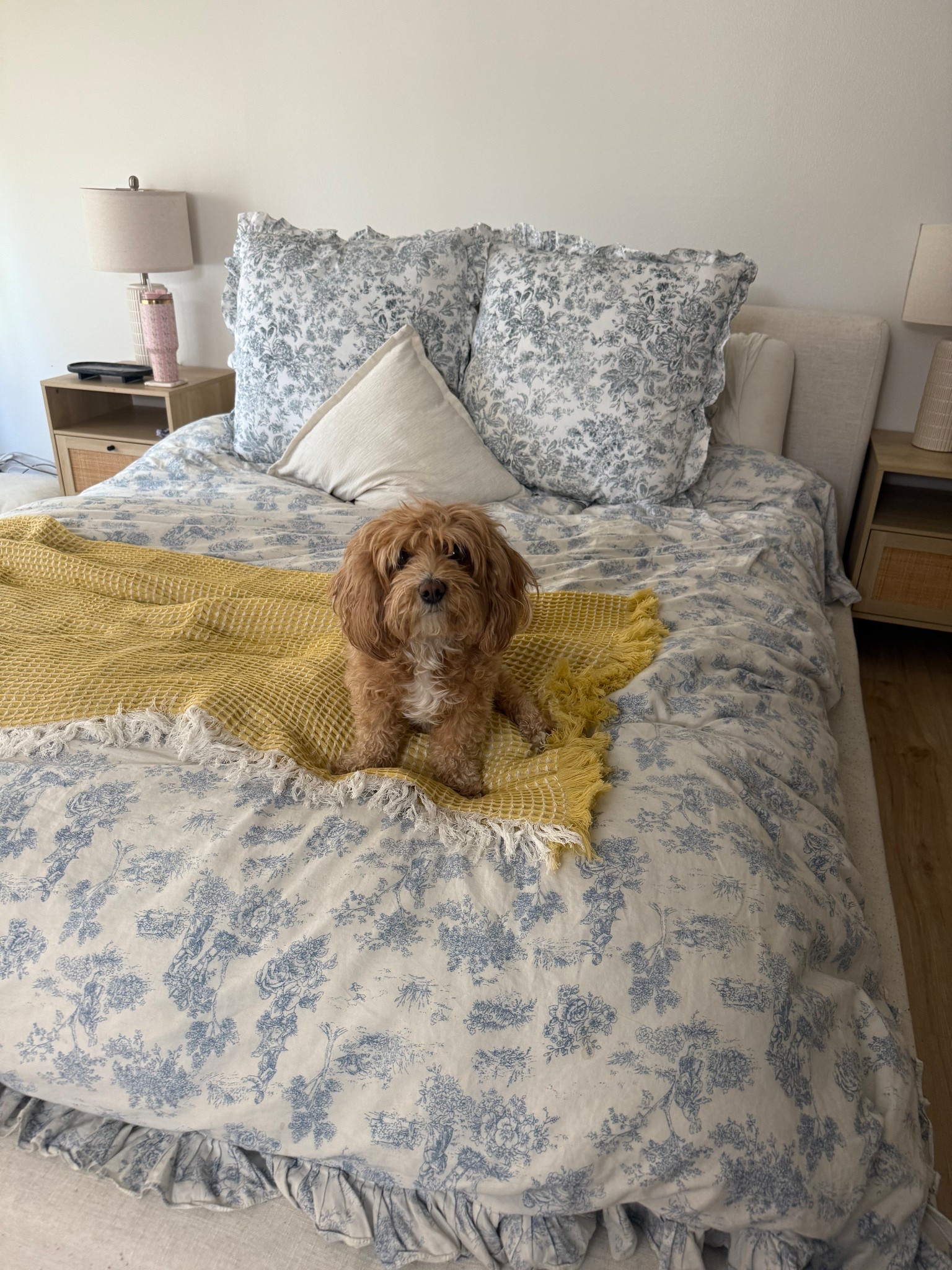 Our blue and white bedding set up!!! 

#LTKFamily #LTKHome #LTKSeasonal