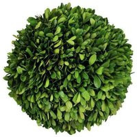 8"" Diameter Preserved Boxwood Ball-Green | Etsy (US)