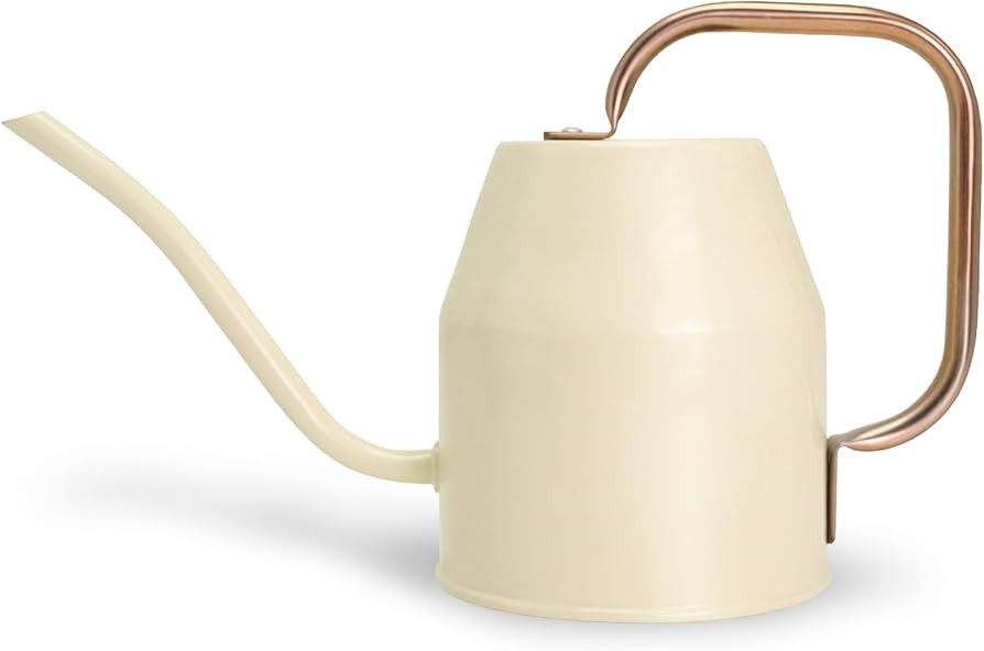 Metal Watering Can with Removable Spout, Galvanized Watering Can, Perfect Plant Watering Can for ... | Amazon (US)