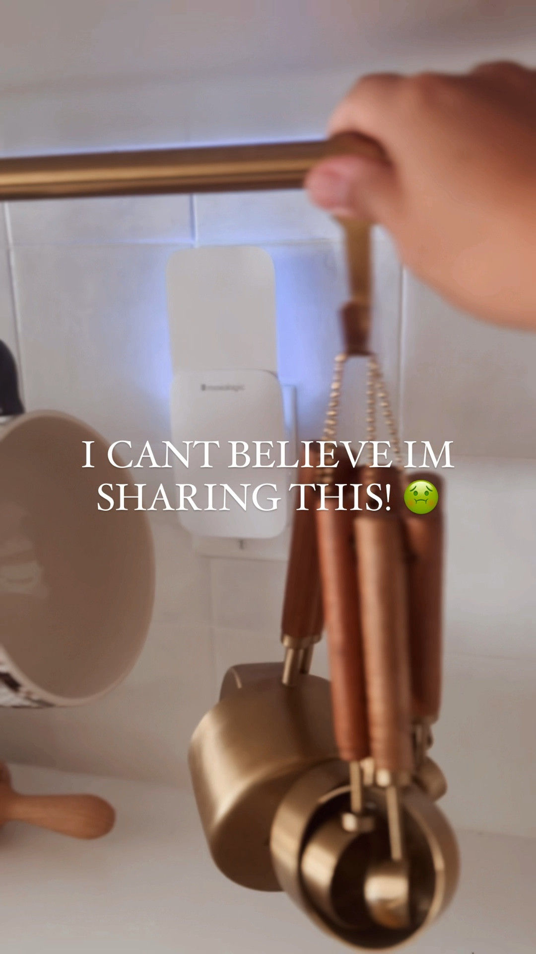 Safe big catcher is a must for the summer months! I can’t believe how many bugs mine caught in such a short amount of time! No chemicals safe for kids and pets! 

#LTKHome #LTKSaleAlert #LTKSeasonal