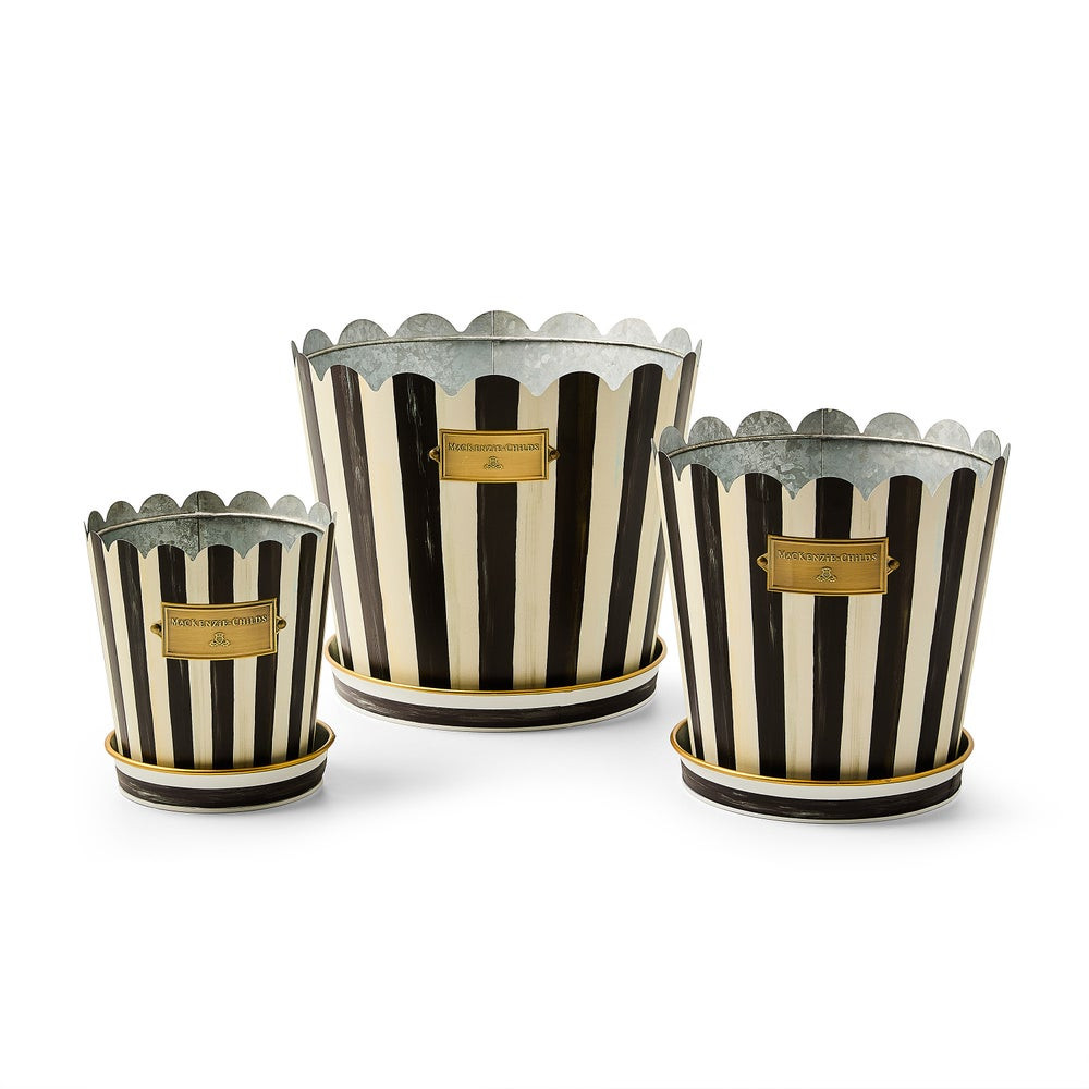 Courtly Stripe Pots & Saucers, Set of 3 | MacKenzie-Childs