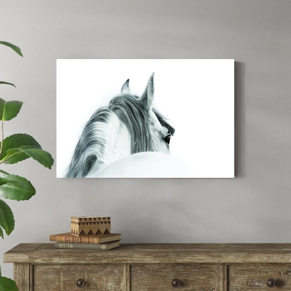 " Black And White Horse " | Wayfair North America