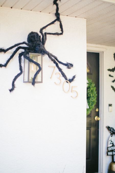 Giant spiders on the front porch
