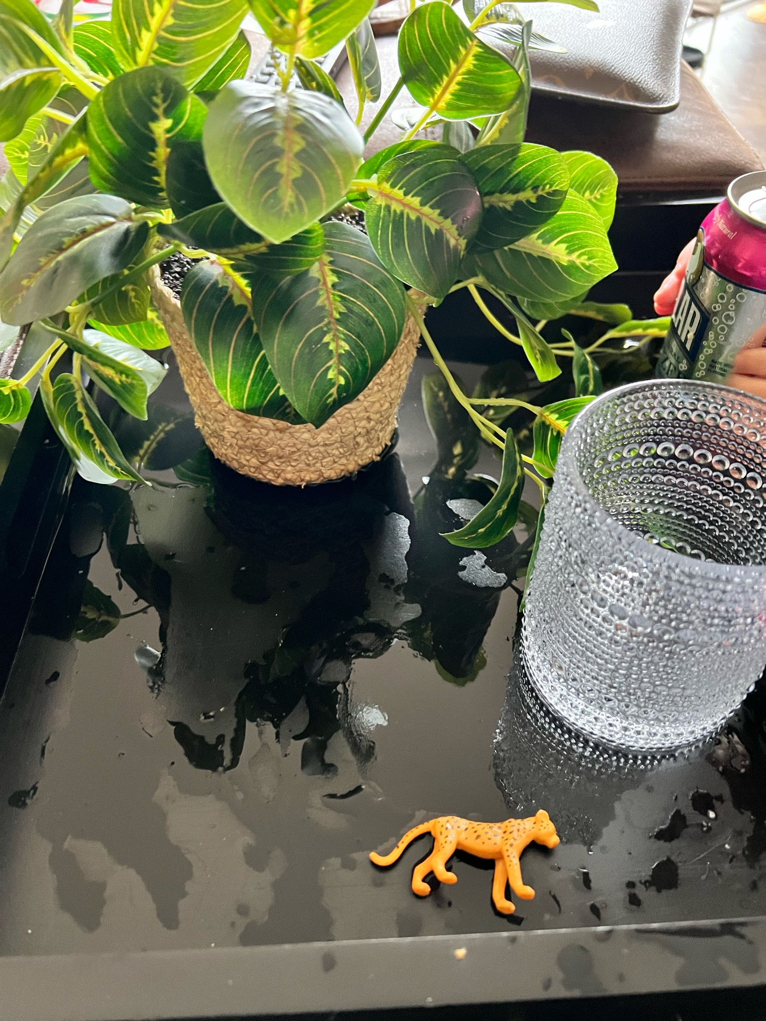 Artsy post to show my faux plants and glasses I was influenced to buy! 

#glasses #plants #fauxplants #instagram #influenced

#LTKhome #LTKunder50 #LTKFind