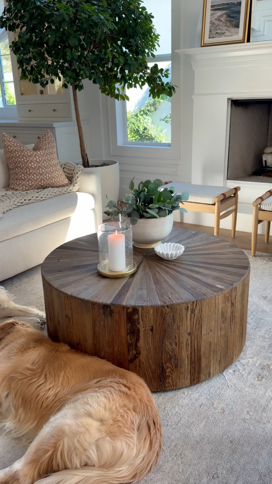 These are the TOP 10 things you guys ask me about in our home… and every single one is from @Wayfair .

Honestly… there are way more than 10, but that’s all I could fit in this reel so I’ll link all that you see and more.

#ad #WayfairPartner #Wayfair


#LTKHome #LTKSaleAlert #LTKSeasonal