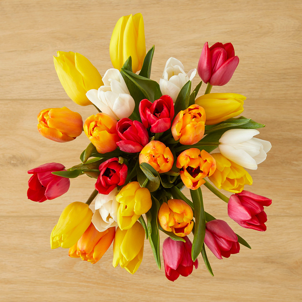 Rainbow Tulip Mix Bouquet - The Bouqs Co. | The Bouqs Co.