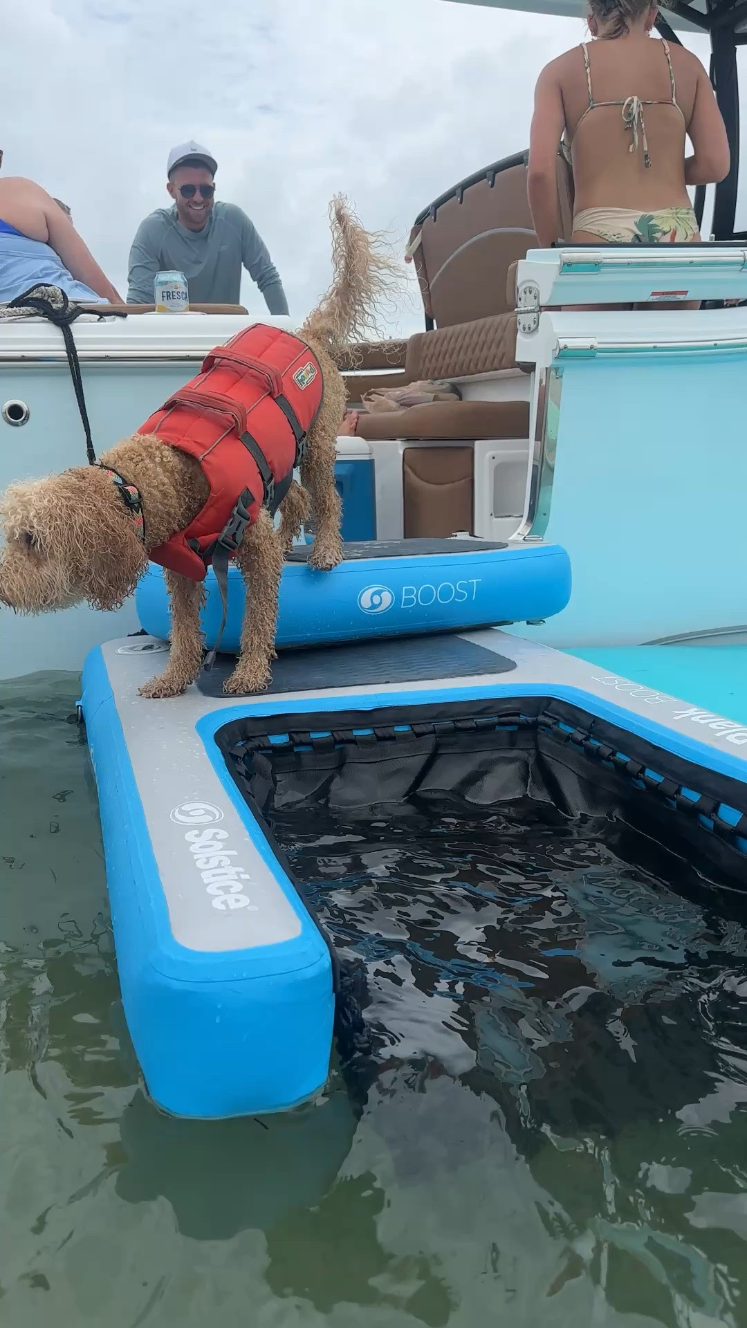 SOLSTICE Inflatable Pup Plank, Dog Water Ramp for Boats & Docks, Boost Step, 220 lb Capacity - Floating Platform for Pets for Lake, River, Beach & Swimming Pool, Includes Pump, Patent-Protected Design

#LTKSeasonal #LTKSwim #LTKmomlife