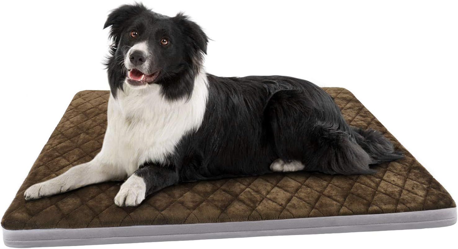 Large Dog Bed Soft Foam Pet Beds 23/31/39/47 inches Washable Anti-Slip Crate Mat Mattress Kennel ... | Amazon (US)