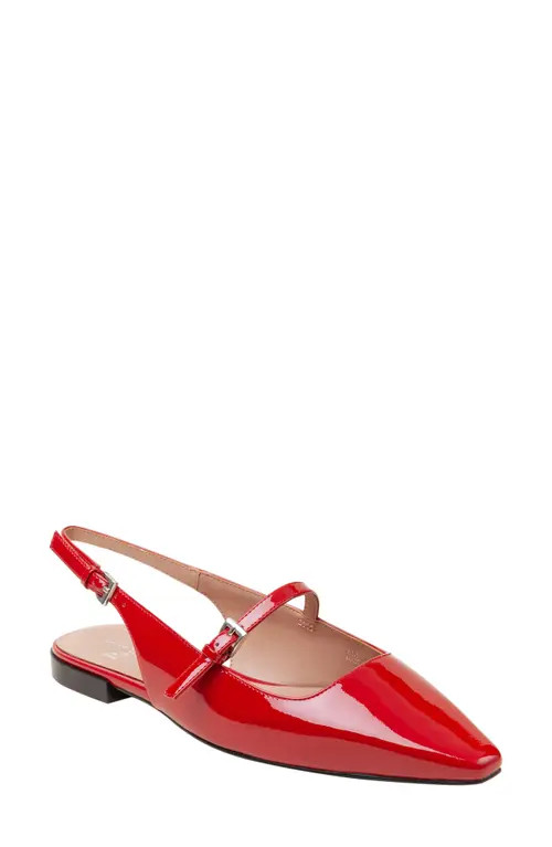 Linea Paolo Celeste Slingback Pointed Toe Flat in Red at Nordstrom, Size 4.5 | Nordstrom