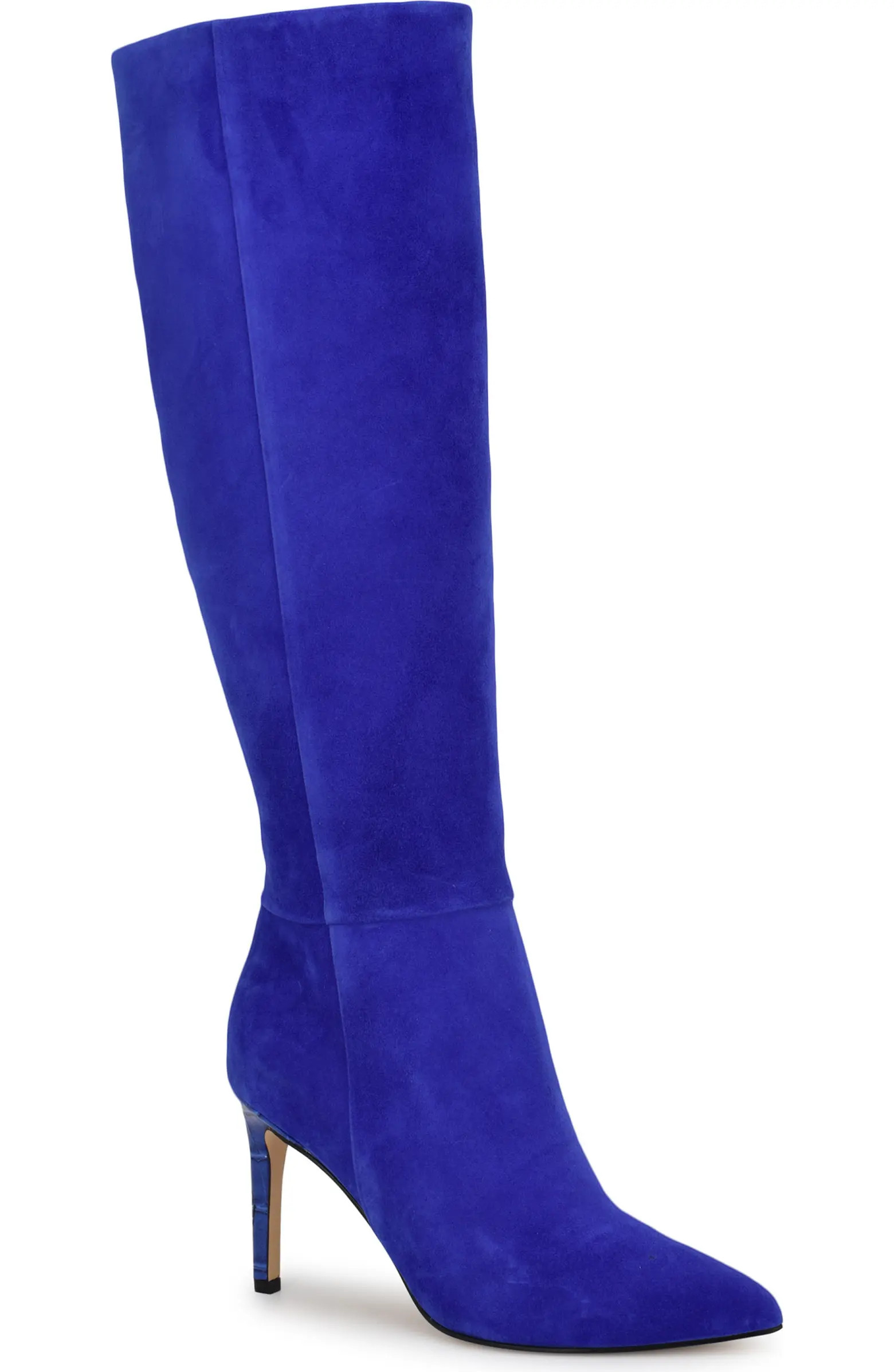 Richy Pointed Toe Knee High Boot (Women) | Nordstrom