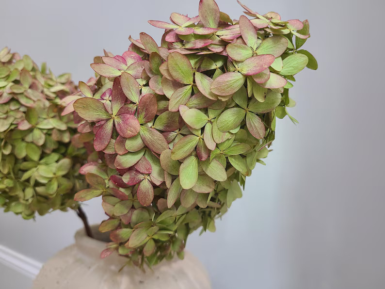 Dry Hydrangea Bouquet ,hydrangeas, Natural Dried Flowers, Everlasting Flower, Wedding Flowers, Br... | Etsy (US)