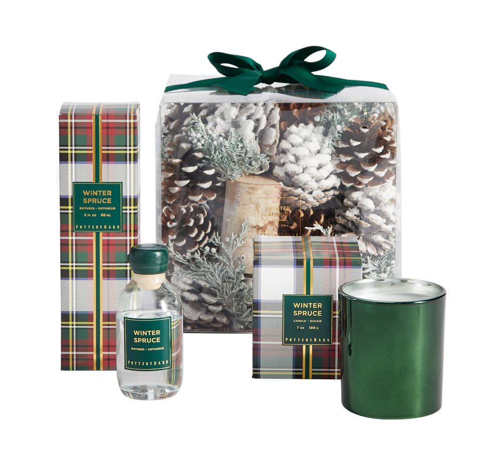 Winter Spruce Scented Gift Set | Pottery Barn (US)