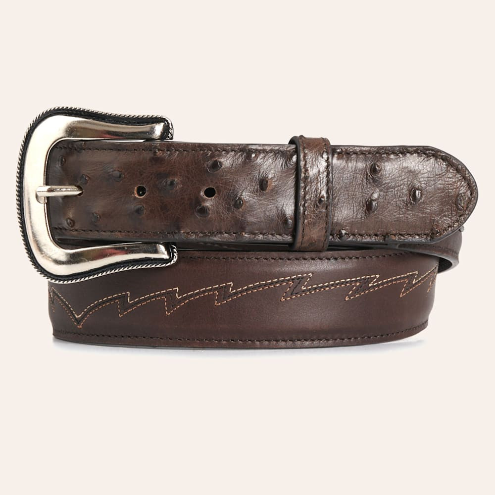JRC & Sons Women's Jacqueline Nicotine Full Quill Ostrich Western Belt | Cavender's