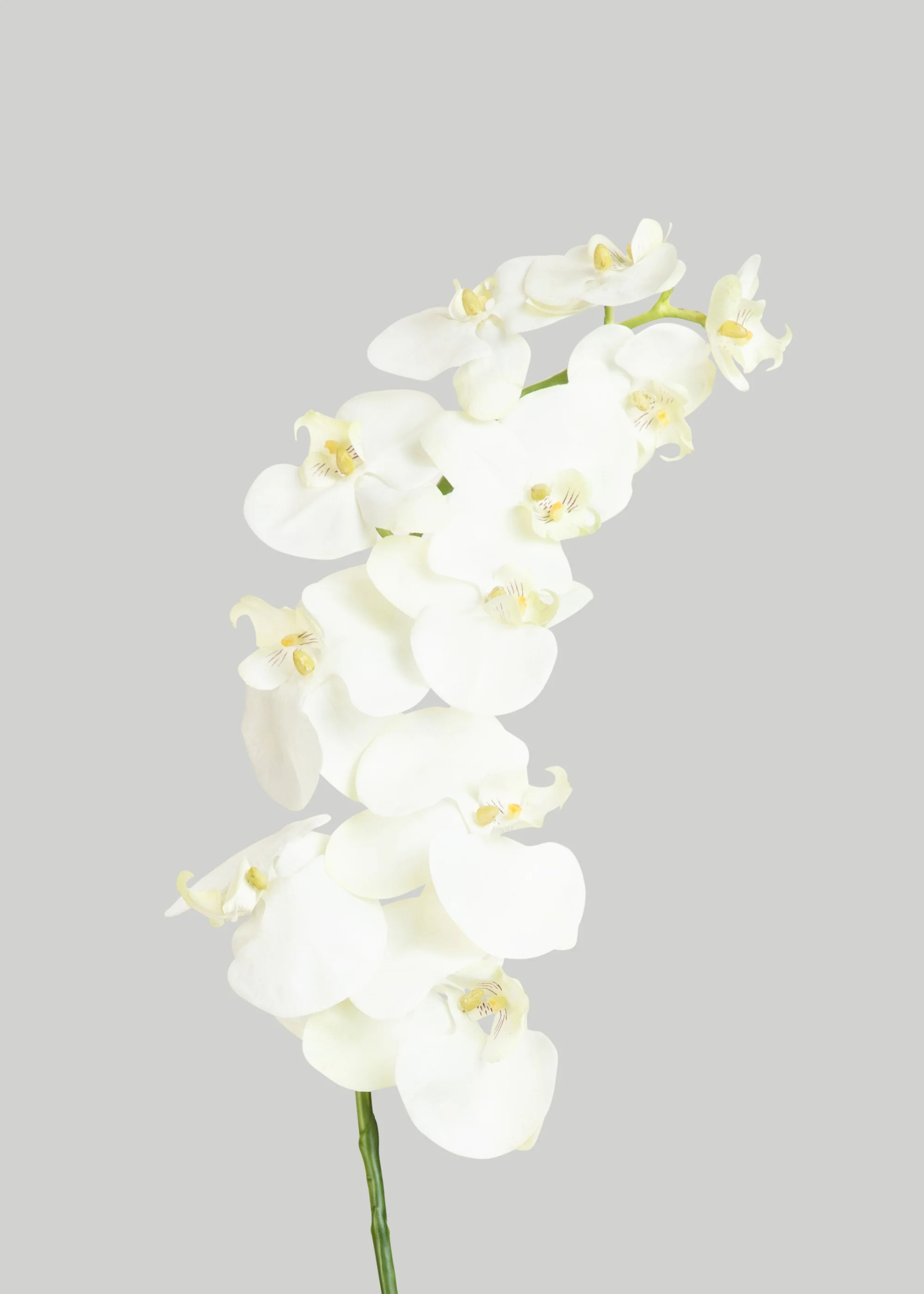 White Phalaenopsis Orchids - 39" | Faux, Tall | Afloral | Afloral