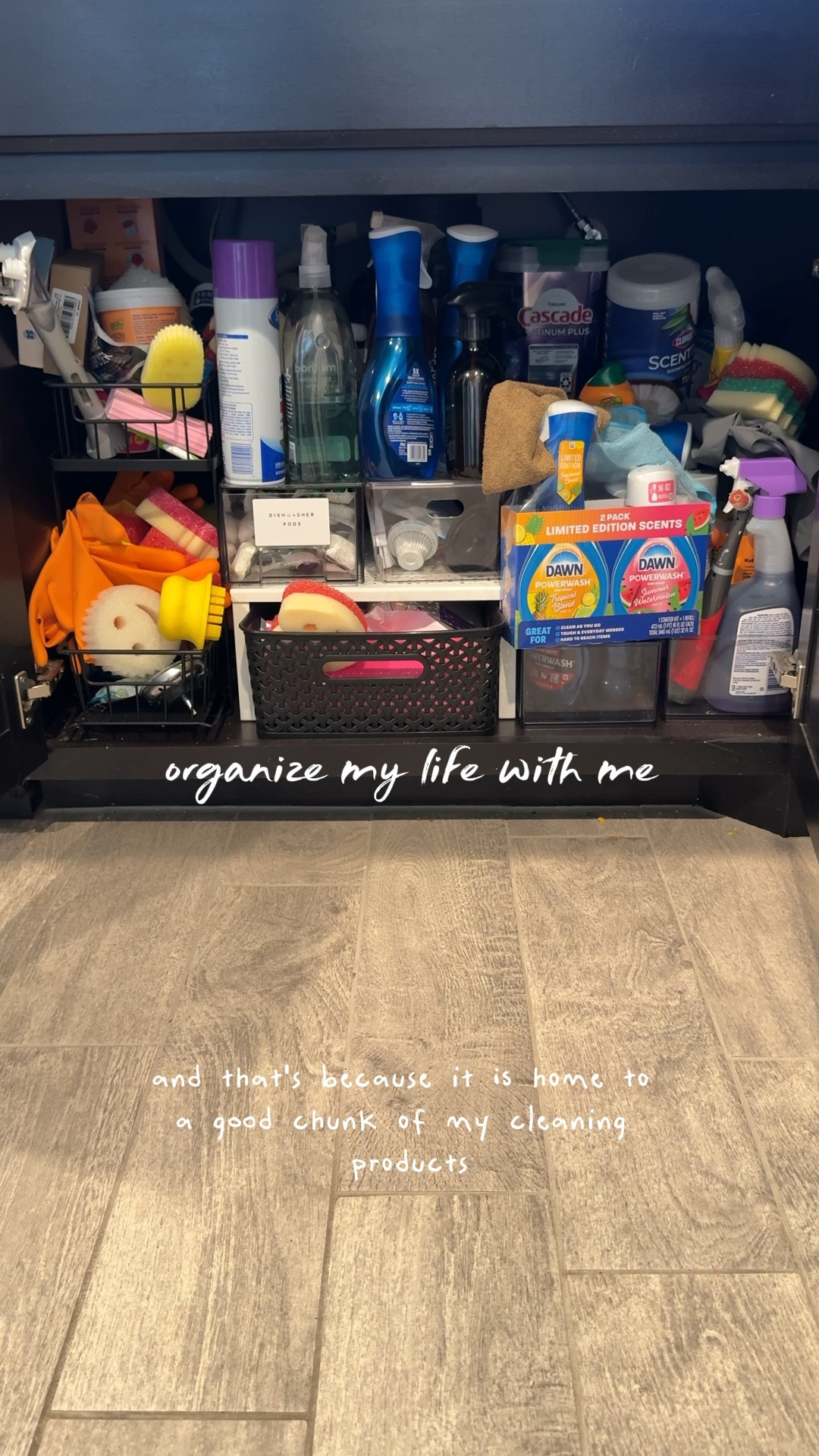 Under counter organization! 


#LTKHome
