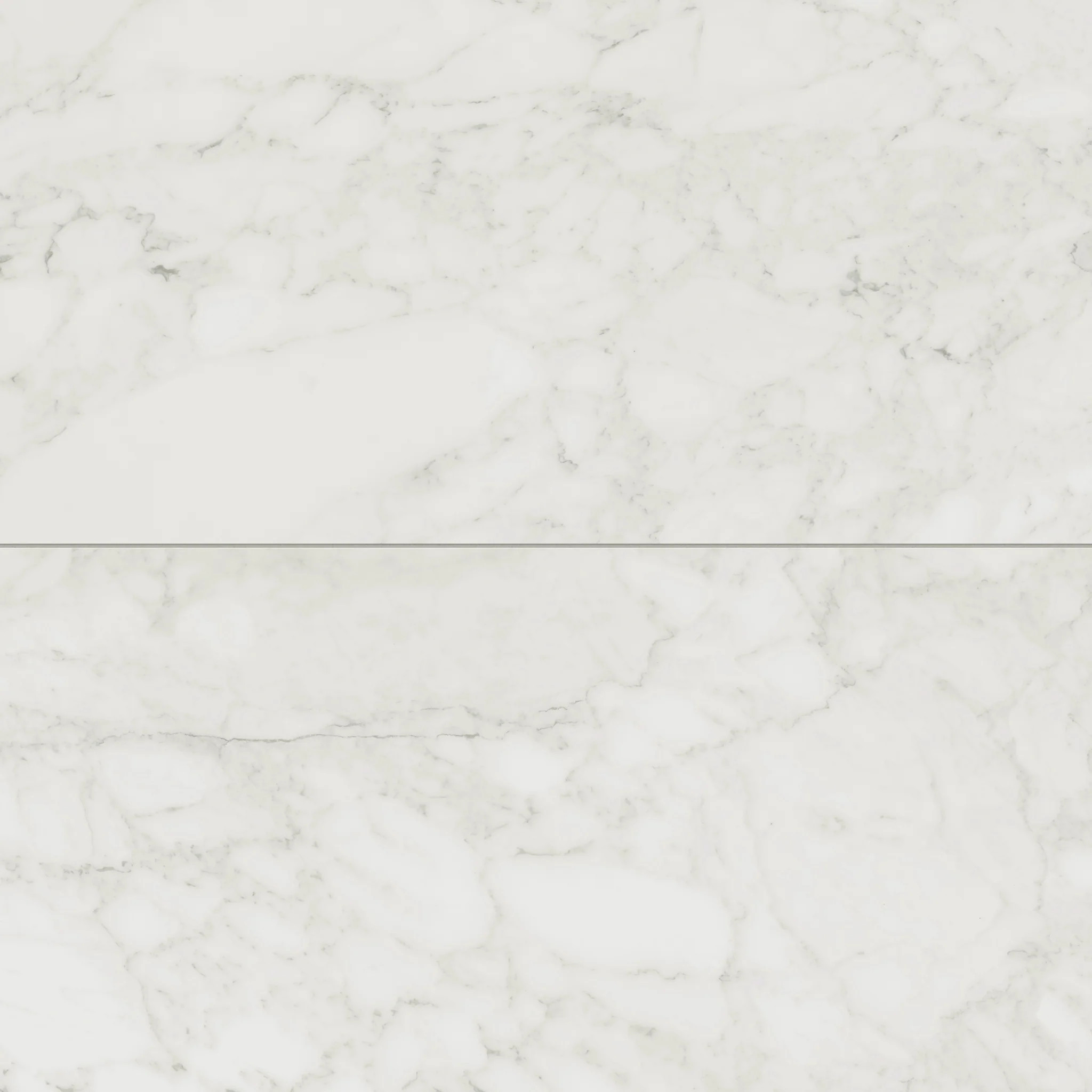 Aniston 24x48 Matte Porcelain Tile in Carrara Bianco | Edward Martin