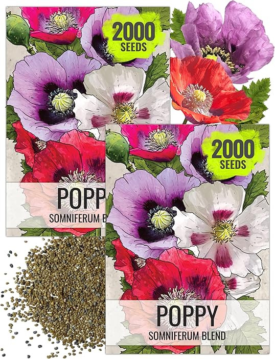 Seed Needs Mixed Somniferum Poppy Seeds for Planting - Heirloom & Open Pollinated Annual Flowers ... | Amazon (US)