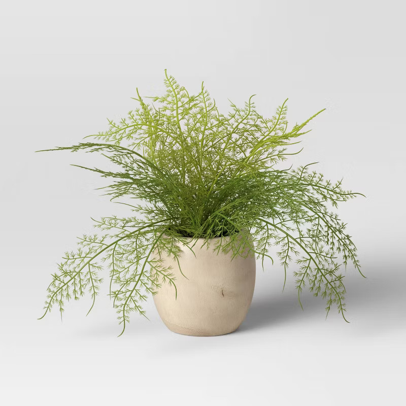 Target/Home/Home Decor/Decorative Objects & Sculptures‎Shop all ThresholdSm Asparagus Fern - Th... | Target