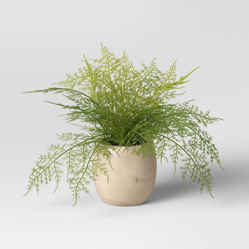 Sm Asparagus Fern - Threshold&#8482; | Target