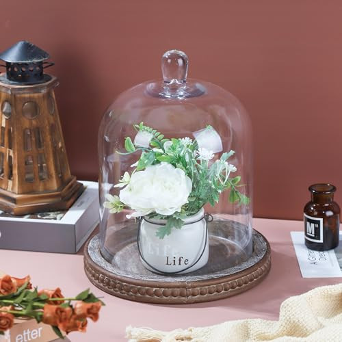 11" High Large Handmade Sturdy Glass Cloche With Rustic Brown Beaded Wooden Base In Farmhouse & Cottage Style, For Terrarium, Trinkets, Cakes, Figurines (Brown, 7.5"x10.6") | Amazon (US)