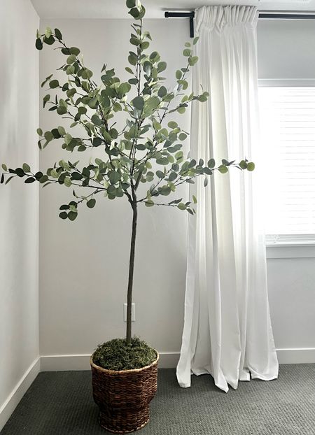 Got this 6ft tree for an insane deal and am pleasantly surprised at how good it is! 
I paired it with a pedestal basket planter and some faux moss and it looks high end. 

And I love these light-filtering white curtains and the softness they bring to any space. Linked a beautiful pinched pleated curtain option too with a cute black curtain rod. 

#LTKsalealert #LTKunder100 #LTKhome