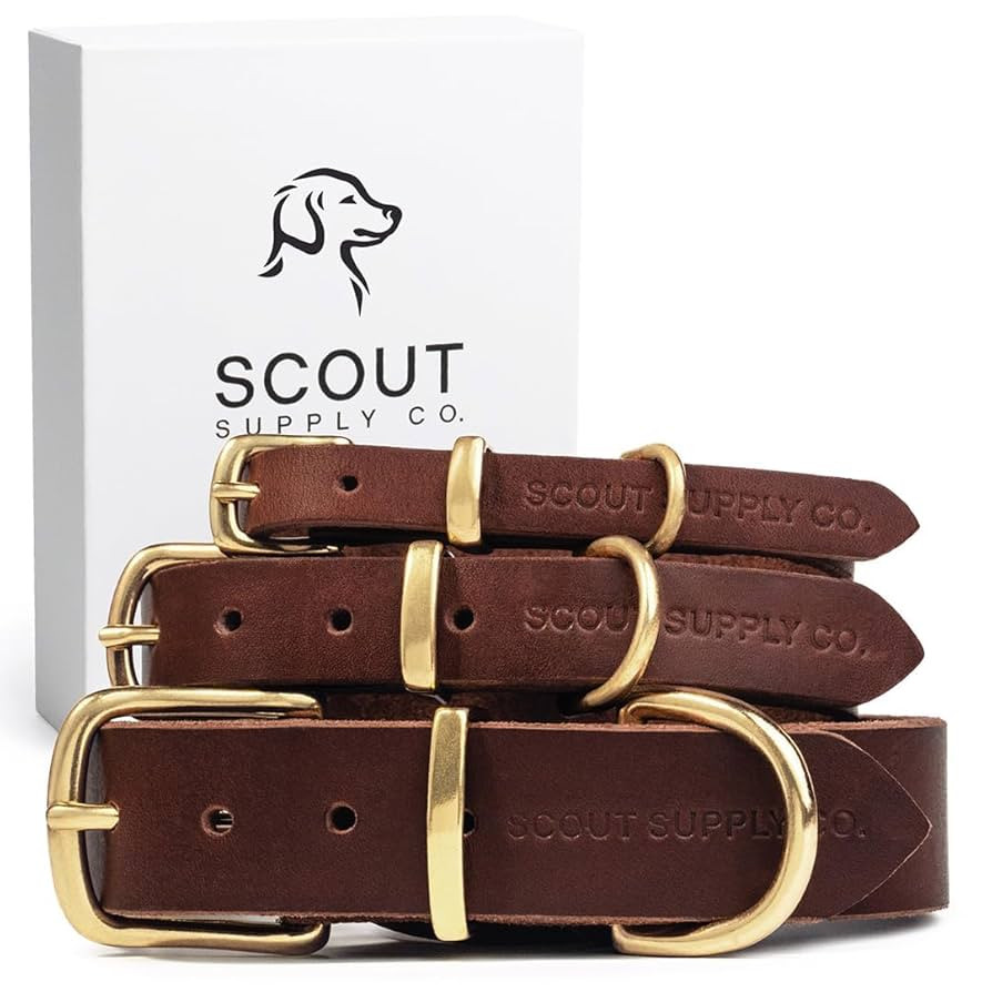 Scout Supply Classic Leather Dog Collar | Heavy Duty Thick Full Grain Leather | Waterproof & Rust... | Amazon (US)