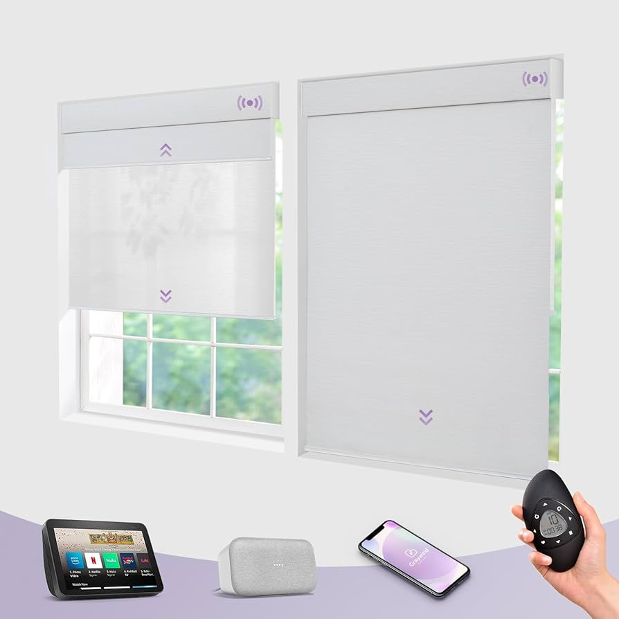 Graywind Motorized Dual Shades Smart Double Blinds Blackout and Light Filtering Blinds in One Set... | Amazon (US)