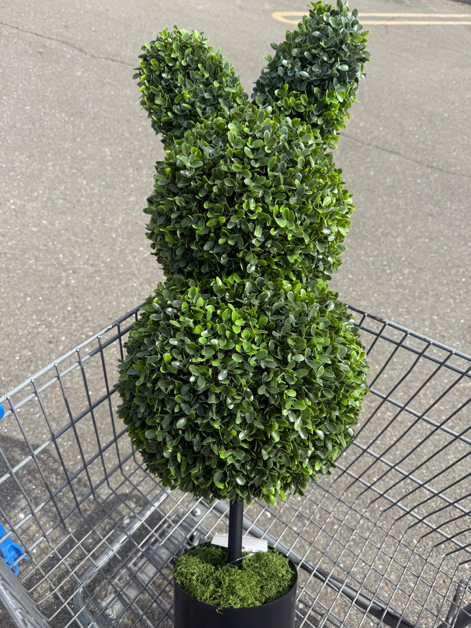 🌿 Yes!! Found ONE more of the viral topiary in stores 🙌🏻

select in-store pickup to see if you can reserve one near you — these keep selling out so fast

see it + my top picks right now from My Texas House ⬇️

#LTKdayinmylife #LTKHome #LTKSaleAlert