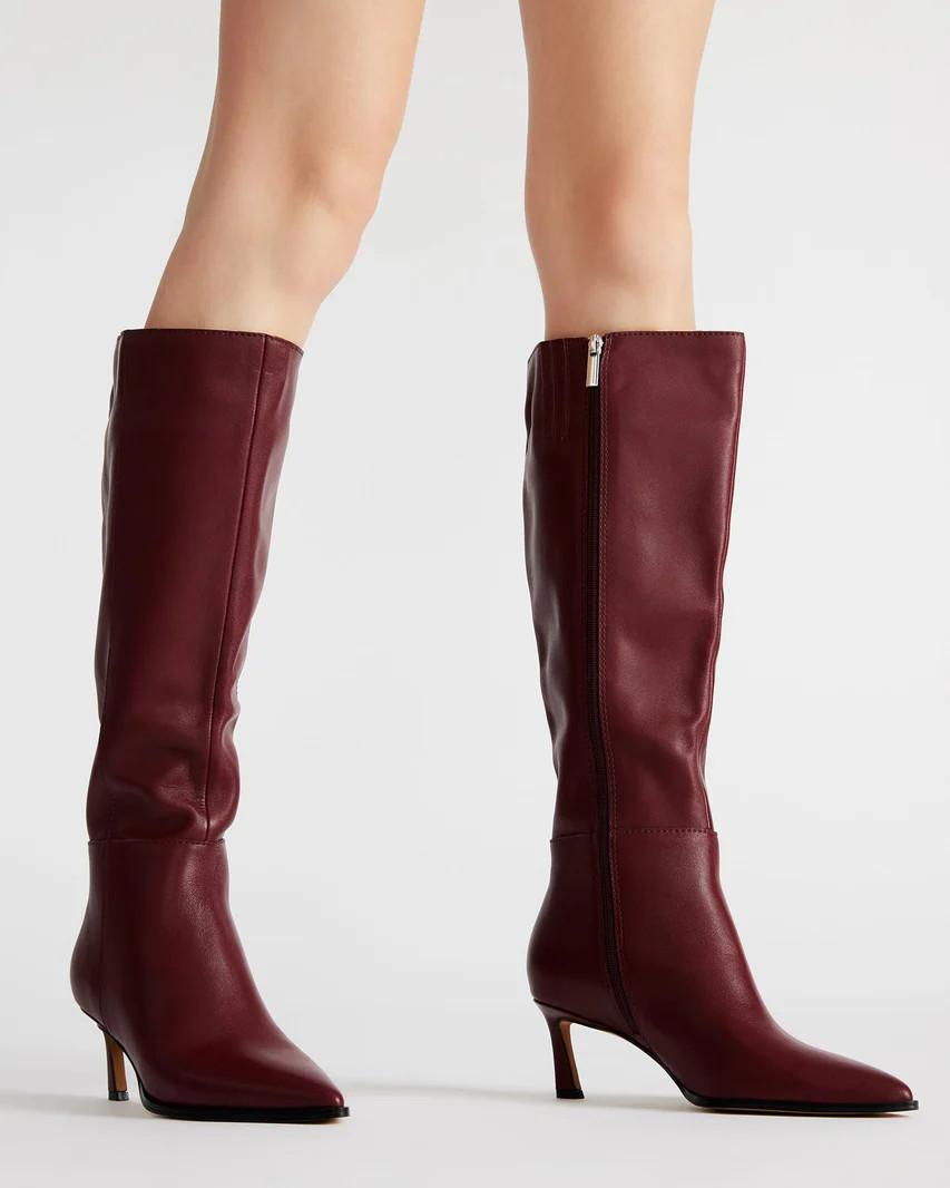 LUCID Burgundy Pointed Toe Kitten Heel Boot | Women's Boots | Steve Madden (US)