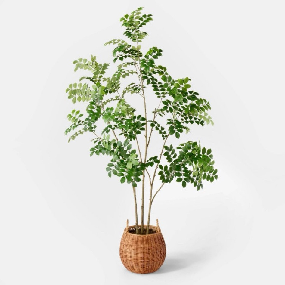 Artificial plant, large plant, large fake plant, indoor plant, artificial fake indoor plant, indoor decorations, home decor, home decorations

#LTKSaleAlert #LTKHome #LTKStyleTip