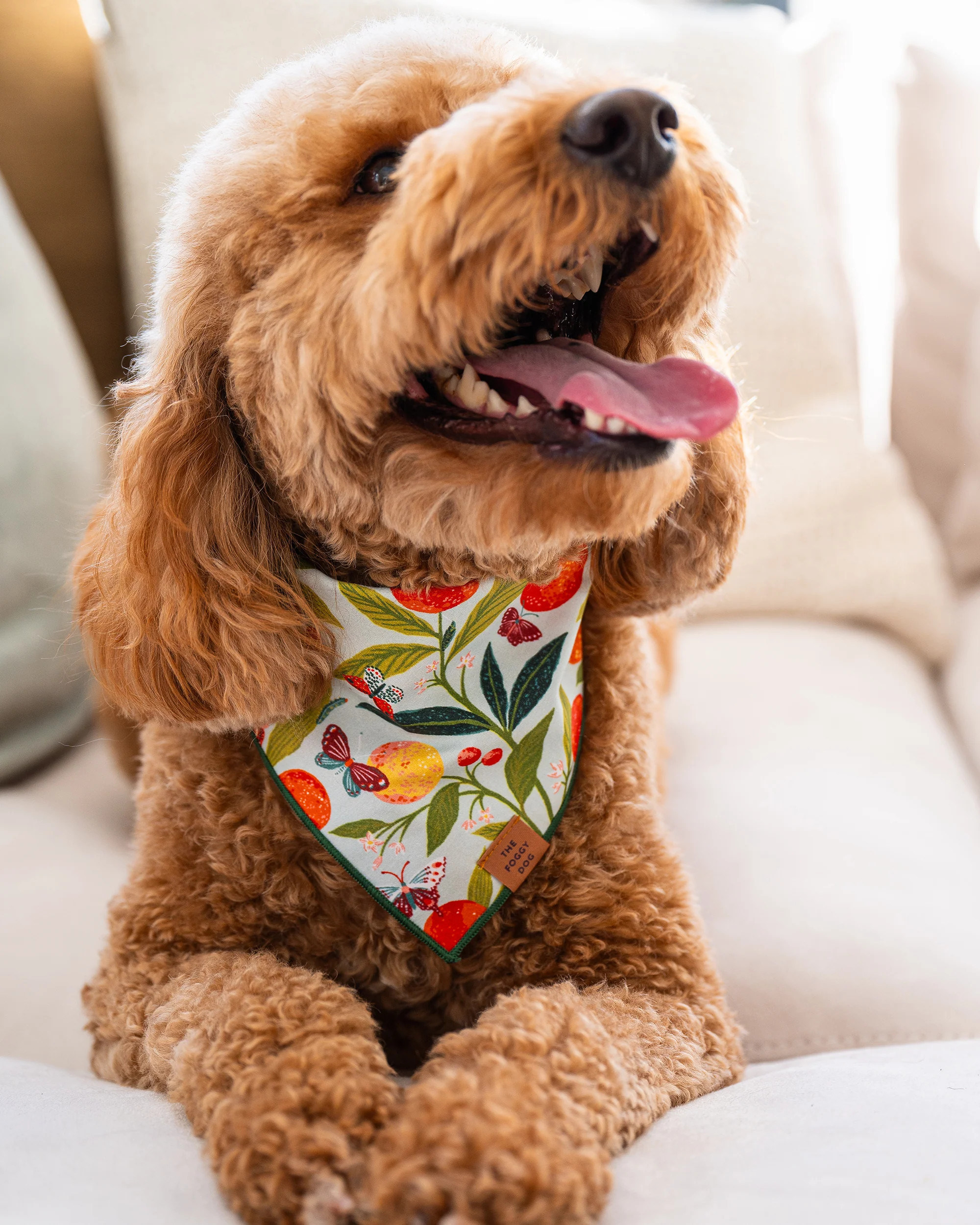 PF x The Foggy Dog Butterfly Grove - Dog Bandana - Soft Blue - Printfresh | Printfresh