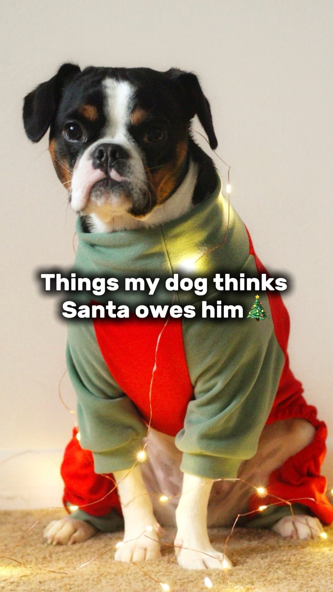 Santa… we need to talk 🎅

These are the things my dog fully believes Santa still owes him — and judging by that face, he’s keeping score 😆🐶

If you need actual gift ideas, check out the dog wishlist for any pup on your list 🎁🐾

#LTKHoliday #LTKGiftGuide #LTKFindsUnder50