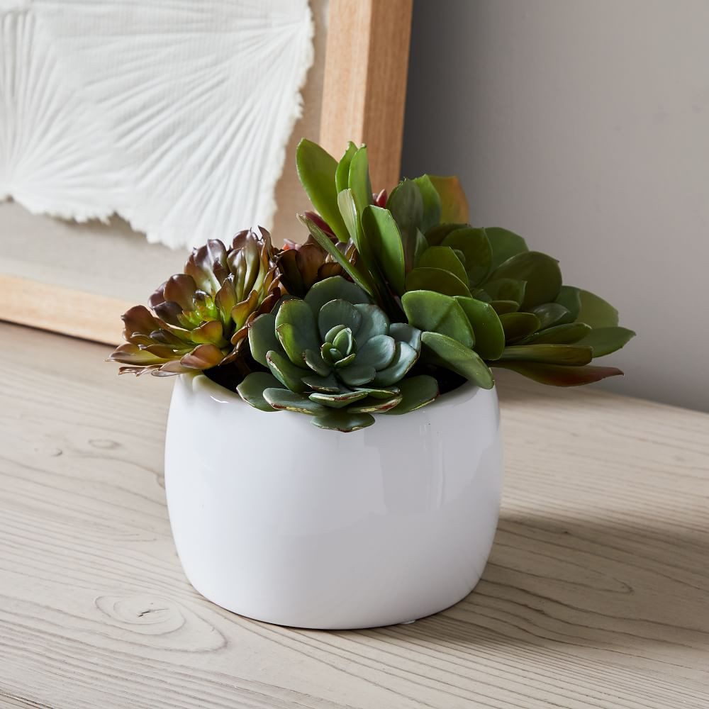 Faux Potted Succulent Arrangement | West Elm (US)