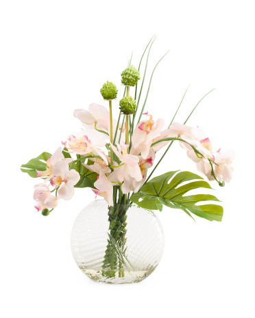 17in Orchid Arrangement In Glass Vase | Home | Marshalls | Marshalls