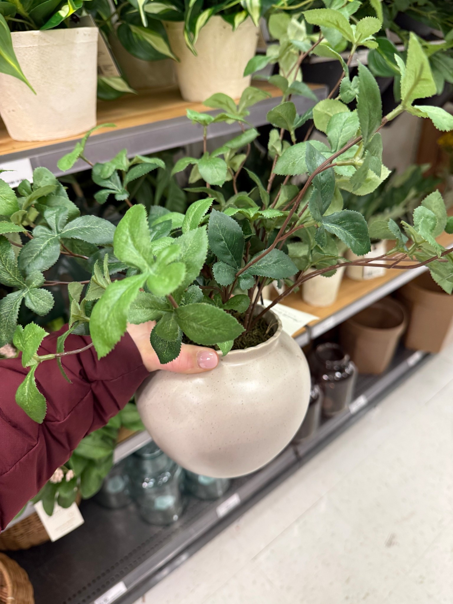 Faux plant
Greenery 
Target home decorations 

#LTKHome