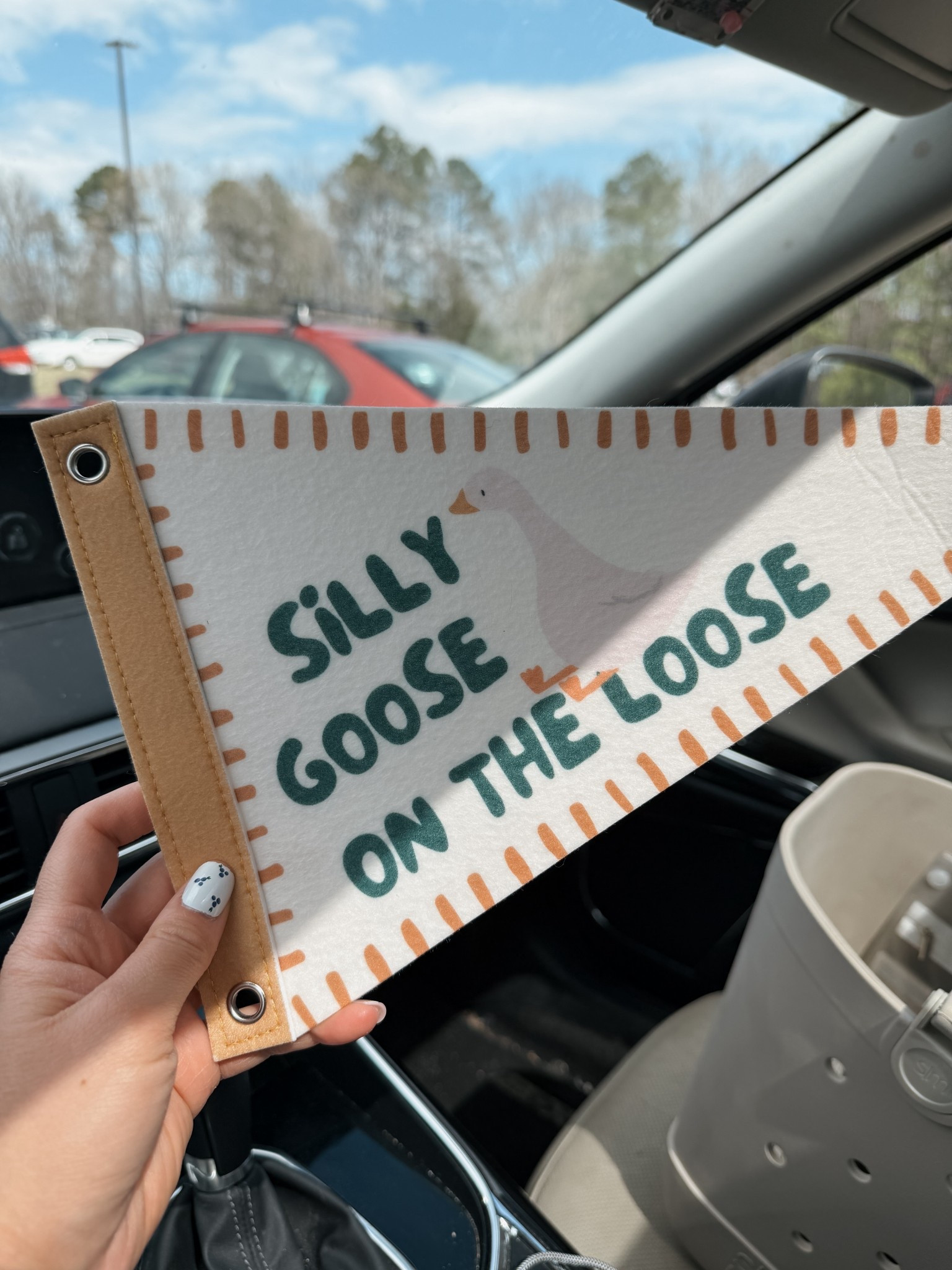 Silly Goose on the Loose flagood

#LTKHome #LTKU