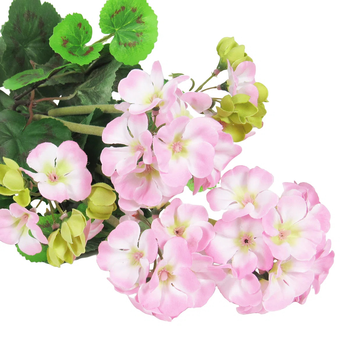 Geranium Arrangement (Set of 2) | Wayfair North America